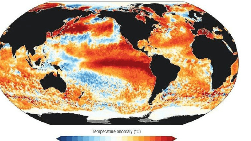 Oceani a 21,10 gradi Celsius: la temperatura più alta mai registrata