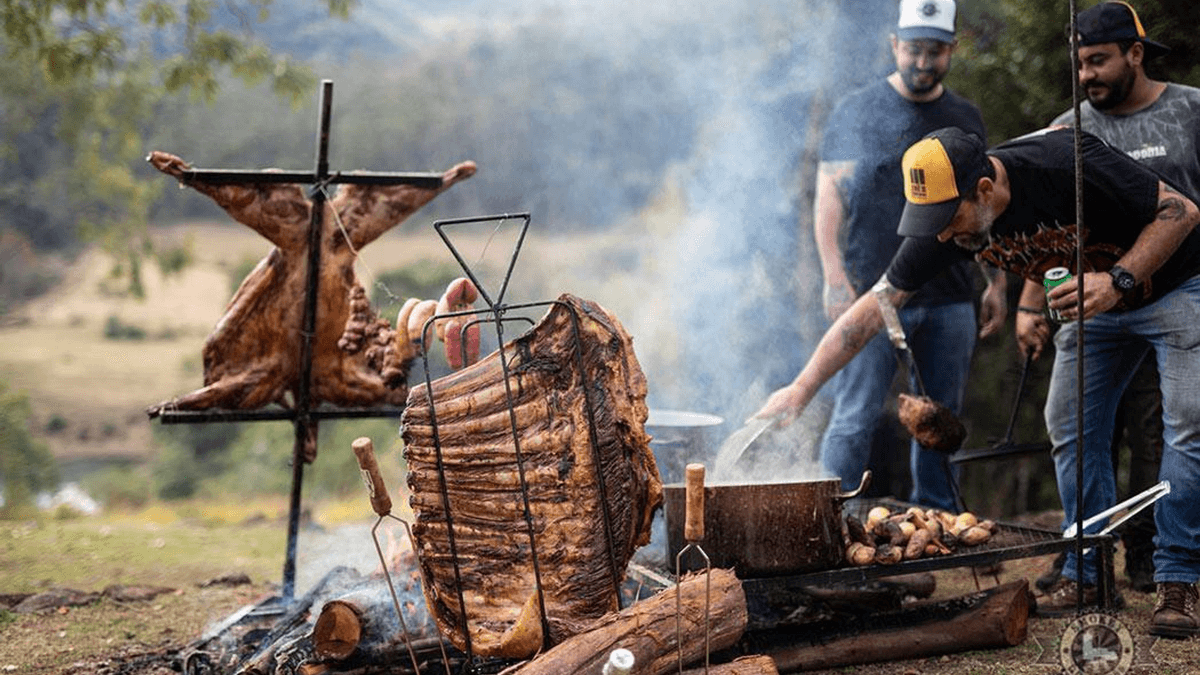 L'Europa chiude alla carne brasiliana: ormoni vietati e autocertificazioni, stop fino al 2028