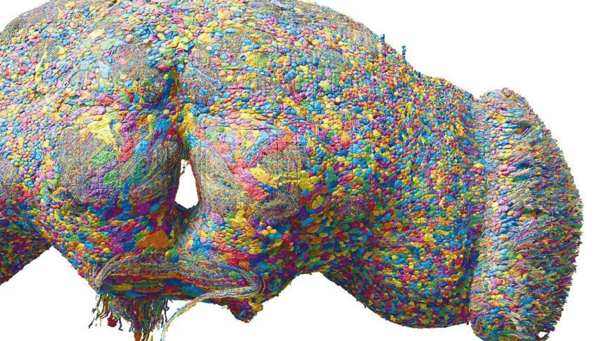 Mappato il cervello di un maschio di mosca: 124 milioni di connessioni, e un 5% che cambia tutto